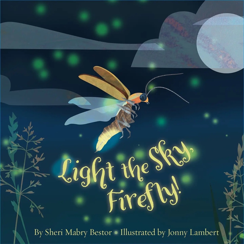Light the Sky Firefly! Hardback Book